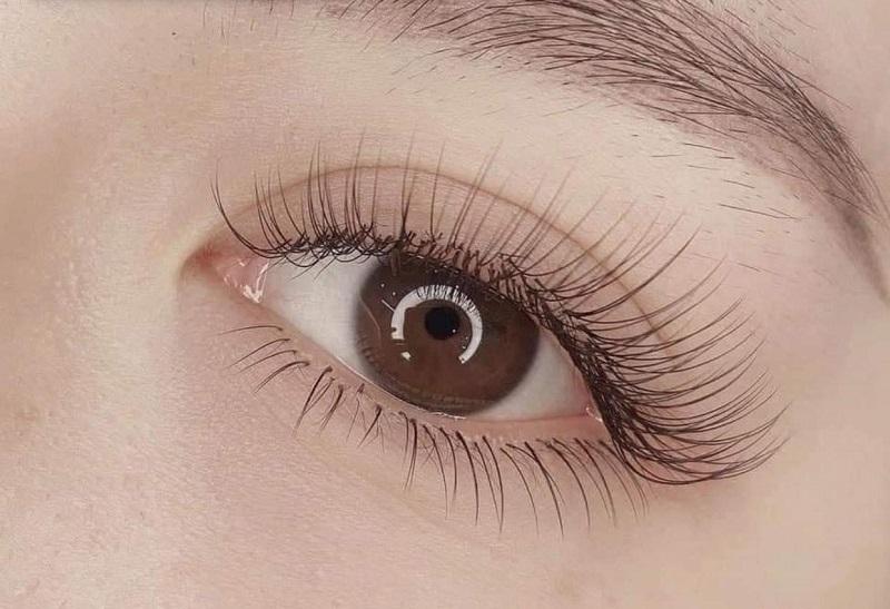 Hà EyeLash-Nối Mi