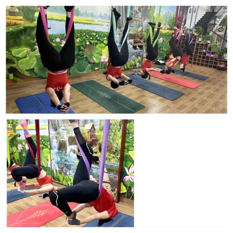 M.YOGA Center