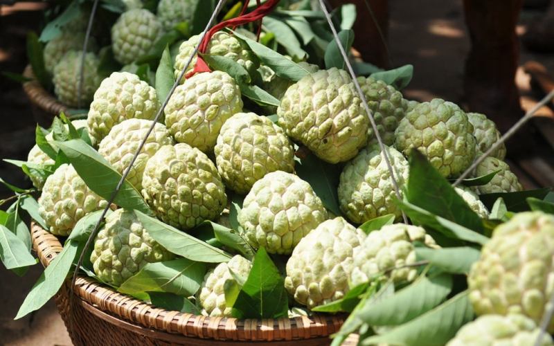 Na Chi Lăng, Lạng Sơn