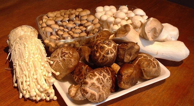 Các loại nấm có thể chế biến món ăn cho bé