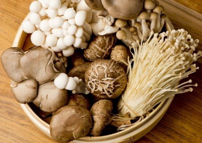Nghề trồng nấm được coi như một nghề mang lại hiệu quả kinh tế cao ở nước ta.