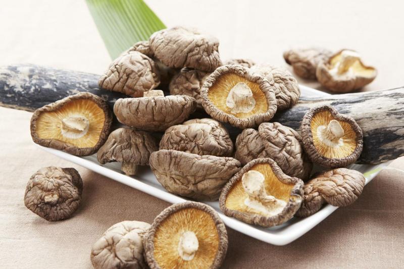 Nấm hương