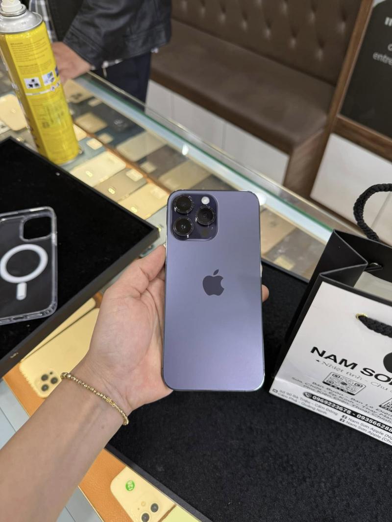 Nam Sơn Apple