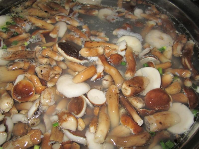 Nấm tràm.