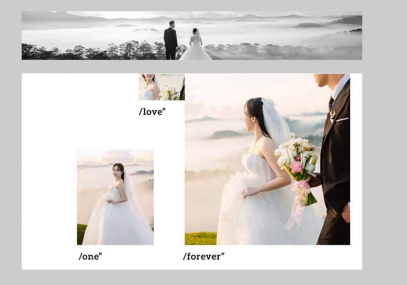 Nấm Wedding
