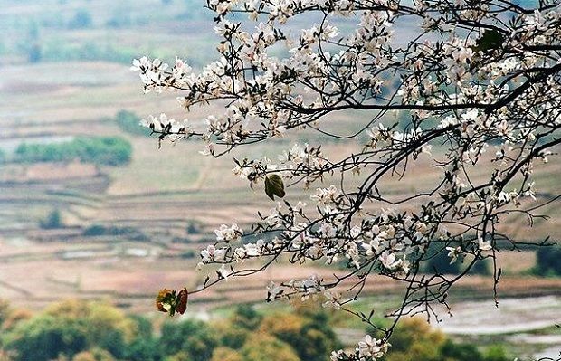 Nên đi du lịch Điện Biên vào mùa nào?