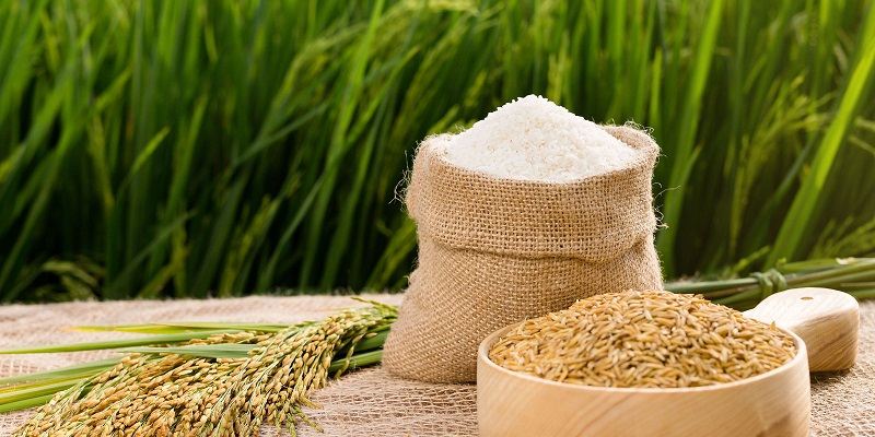 Gạo nếp cái hoa vàng, còn được gọi là nếp ả hoặc nếp hoa vàng, là một giống lúa nếp truyền thống của các tỉnh Trung Du và Bắc Bộ tại Việt Nam