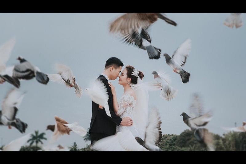 Newline Wedding