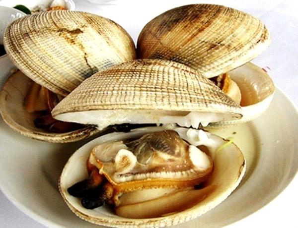Ngán được đánh giá là một loại thực phẩm có rất nhiều chất dinh dưỡng