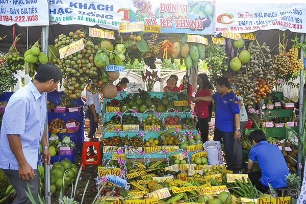 Hàng trăm loại trái cây ngon nổi tiếng