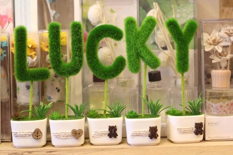 Ngày đầu năm là khởi đầu của nhiều may mắn và mọi người luôn chúc nhau những lời tốt đẹp