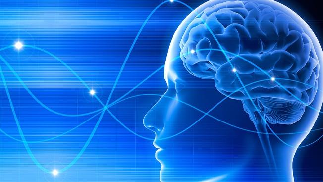 Nghe nhạc kích thích trạng thái alpha trong não