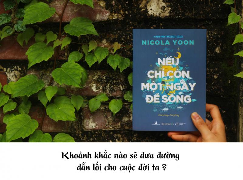 Nghị luận 