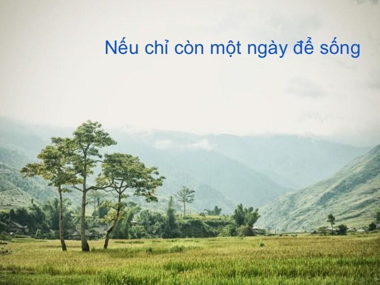 Nghị luận 
