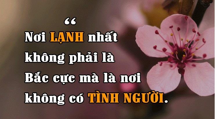 Ảnh minh họa (Nguồn internet)