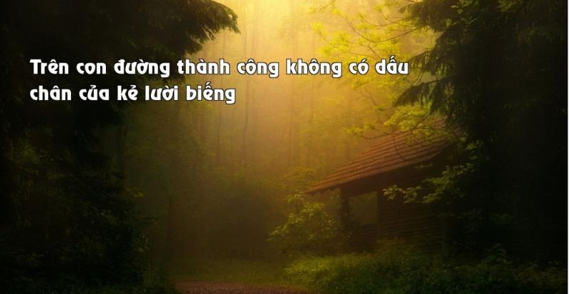 Ảnh minh họa (Nguồn internet)