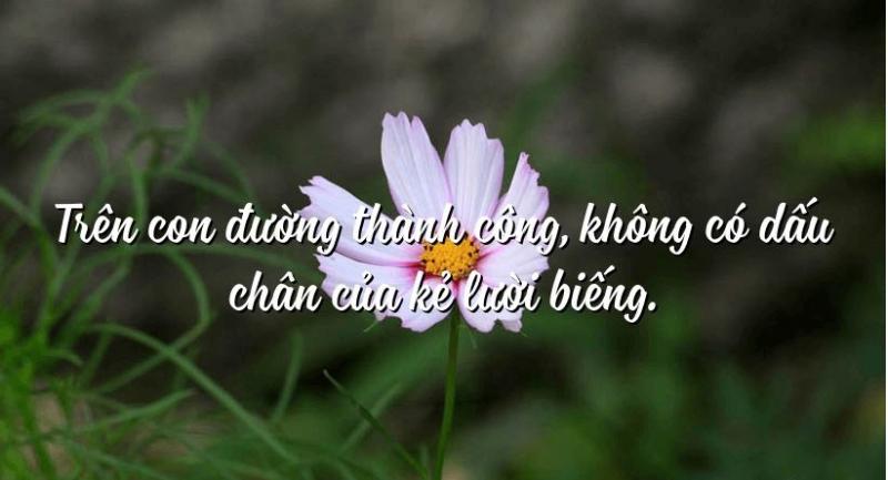 Ảnh minh họa (Nguồn internet)