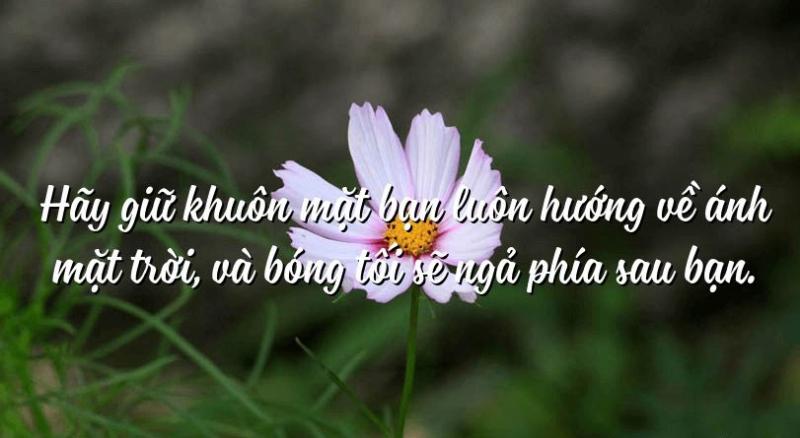 Ảnh minh họa (Nguồn internet)