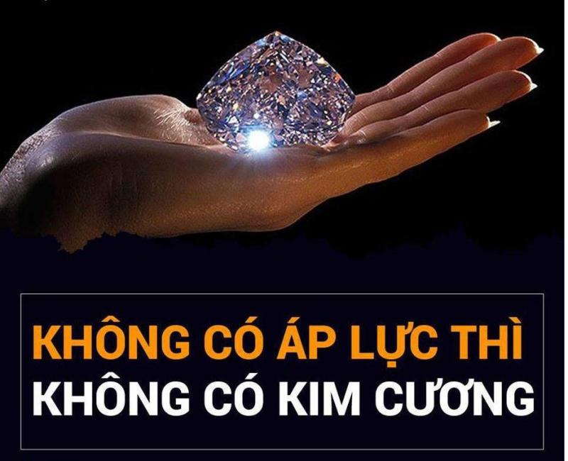 Ảnh minh họa (Nguồn internet)