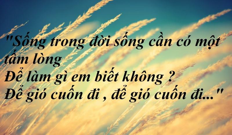 Ảnh minh họa (Nguồn internet)