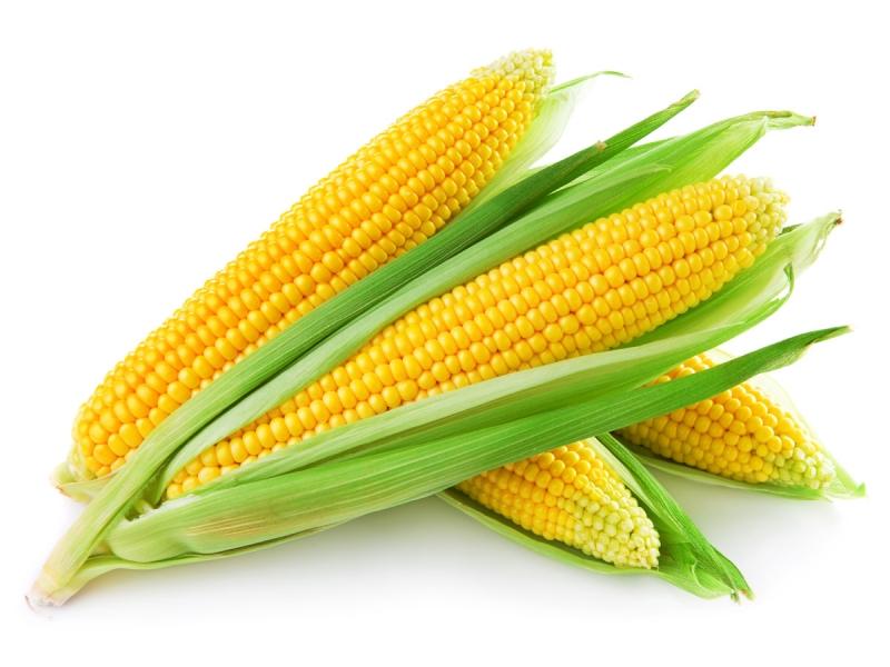Ngô