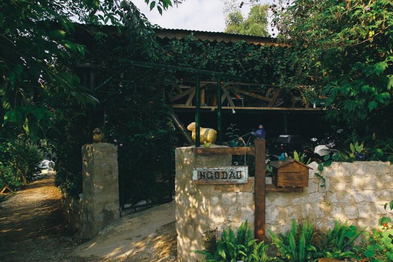 Ngó Dâu Homestay