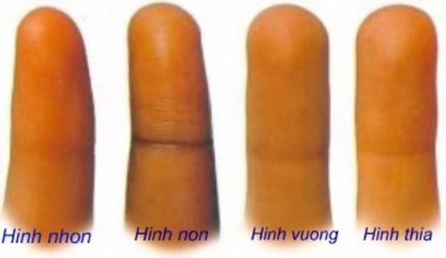 Các loại hình ngón tay