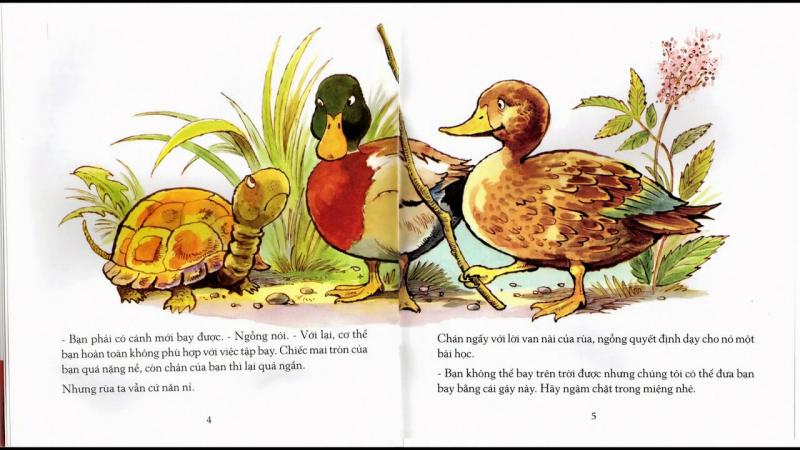 Ngỗng và Rùa