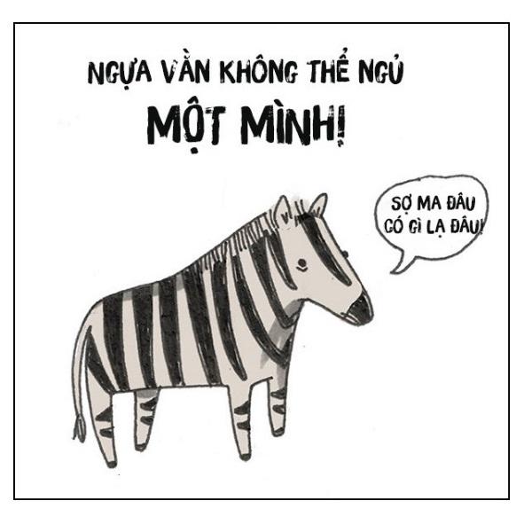 Ngựa vằn không thể ngủ một mình