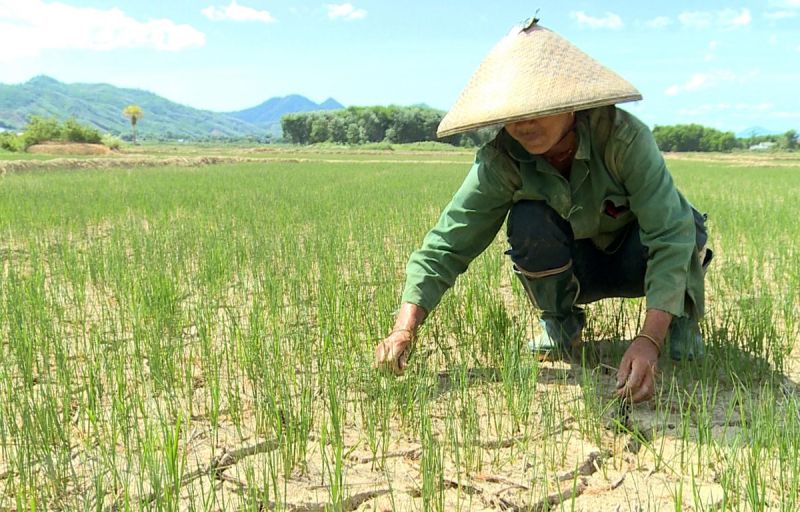 Người địa vị thấp
