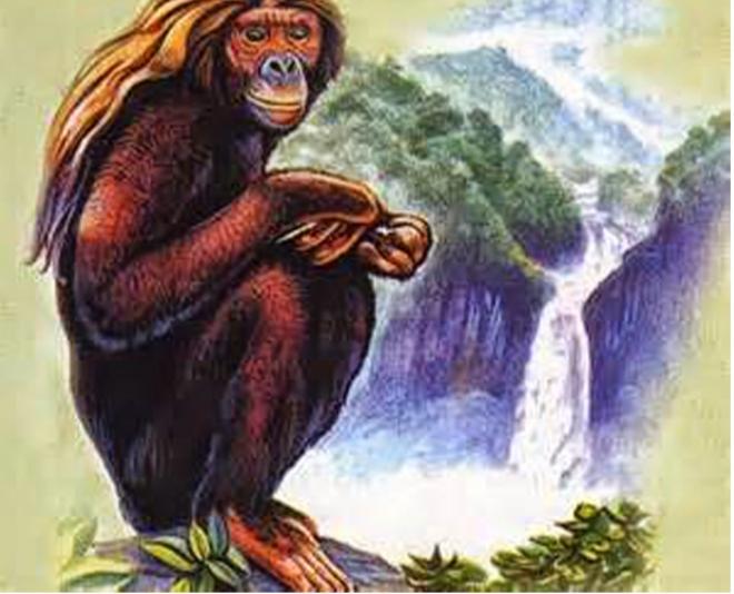 Người thú Almas