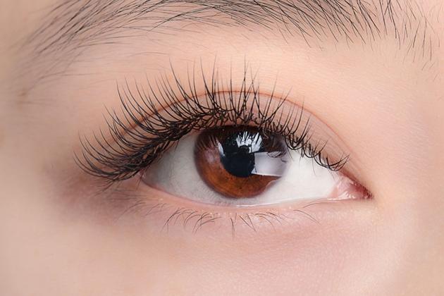 Nguyễn Thu Thuỷ Eyelash