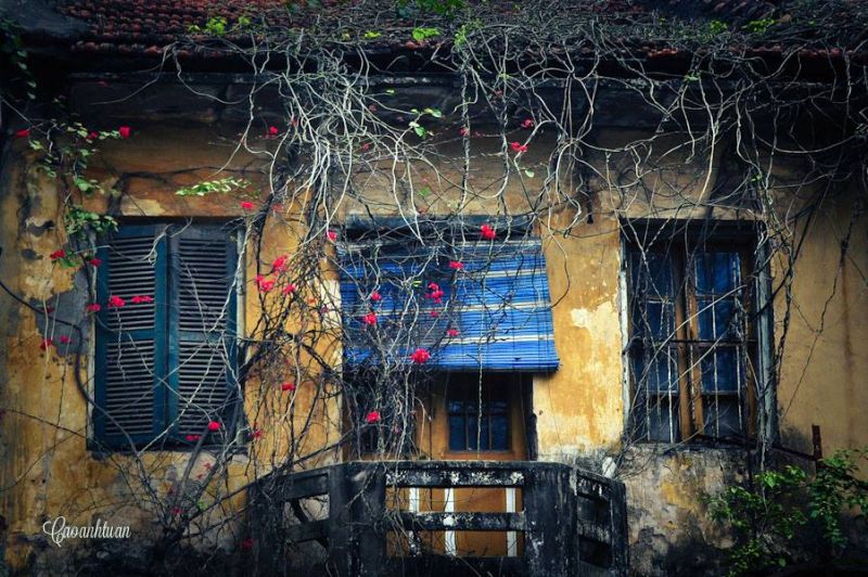 Nhà cổ Hà Nội