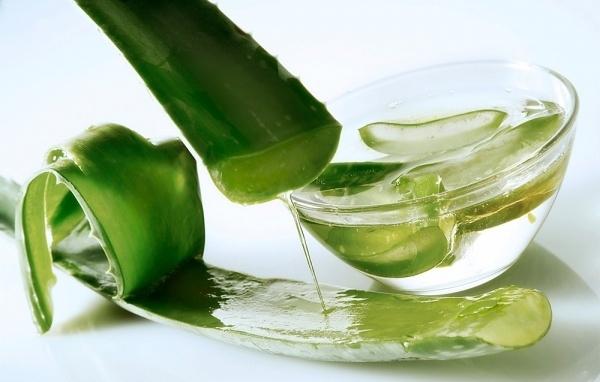 Nha đam + dầu dừa
