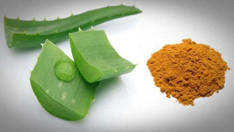 Nha đam kết hợp với nghệ