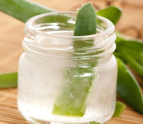 Nha đam ngâm rượu