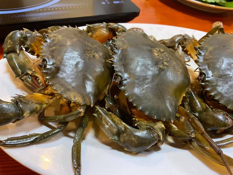 Hải Sản 5 Cua