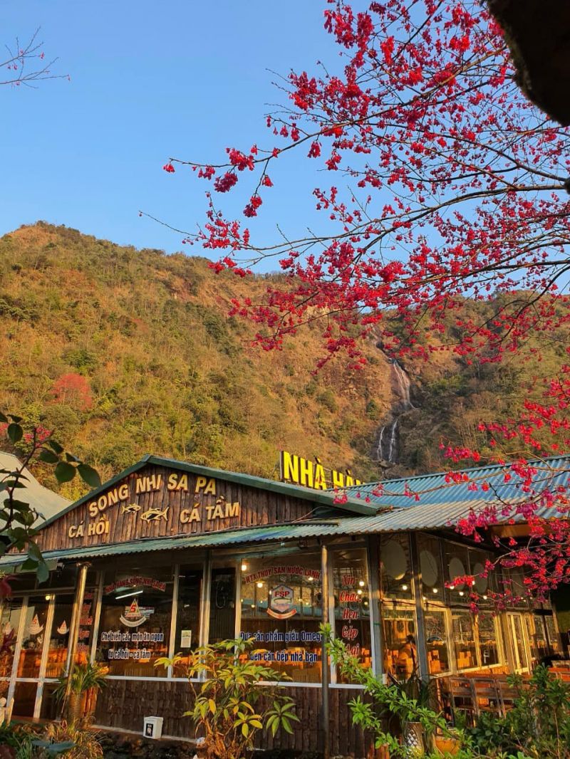 Nhà hàng cá hồi Song Nhi Sapa