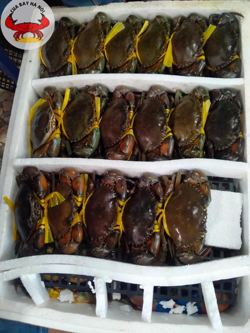 Nhà Hàng Hải Sản Cua Bay