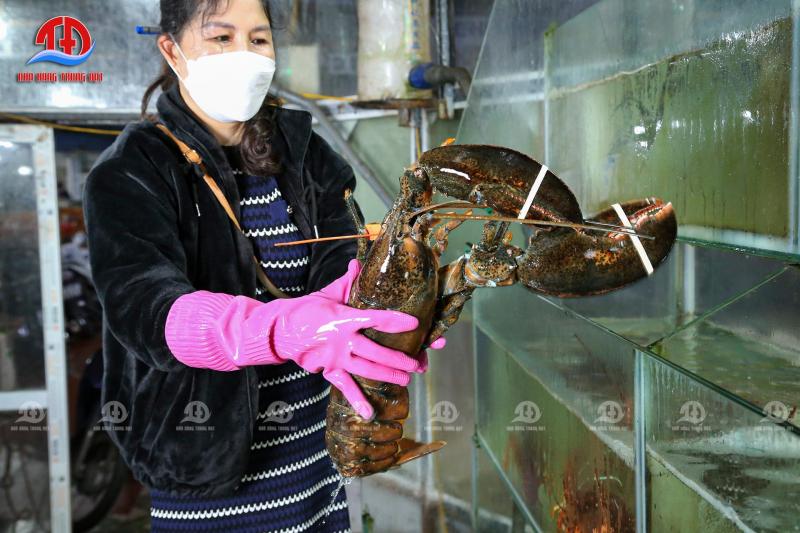 Nhà hàng Hải sản Trung Đạt
