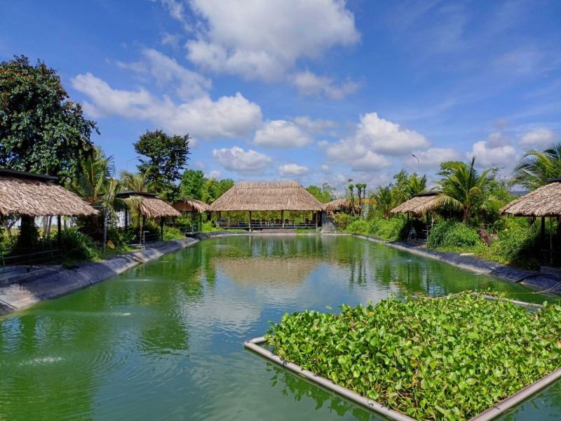 Nhà Hàng Phú Quốc Xanh