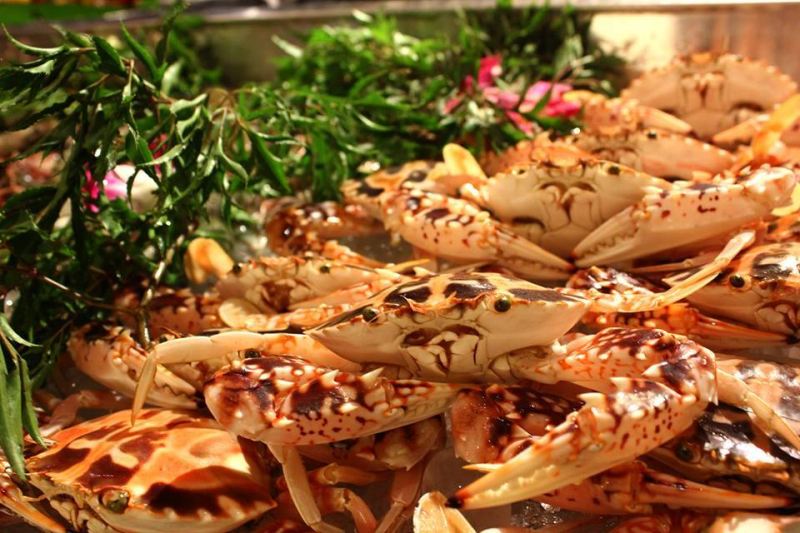 Khu Ẩm Thực Sen Tây Hồ