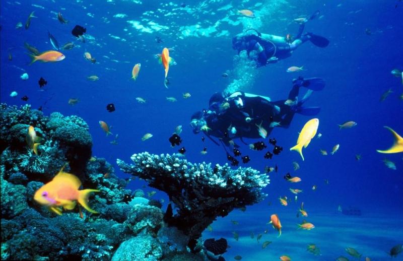 Lặn biển ở Nha Trang