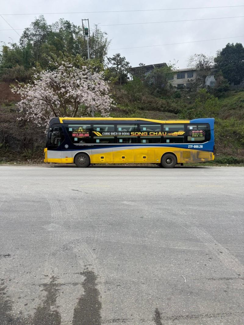 Nhà xe Song Châu