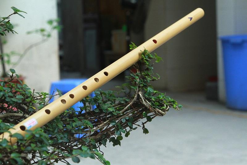 Trung tâm Nhạc Lucia Lạc Lâm