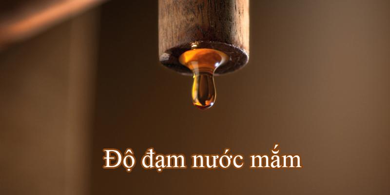 Nhận biết nước mắm ngon thông qua chỉ số hàm lượng đạm