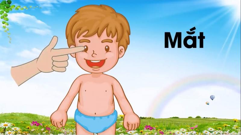 Trò chơi nhận biết về cơ thể