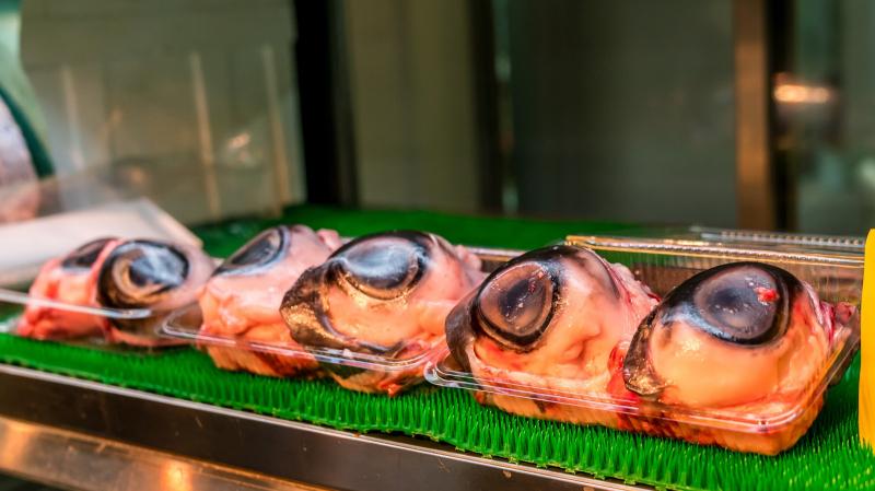Nhãn cầu cá ngừ
