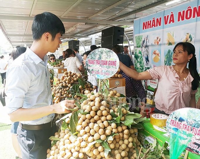 Nhãn lồng Hưng Yên