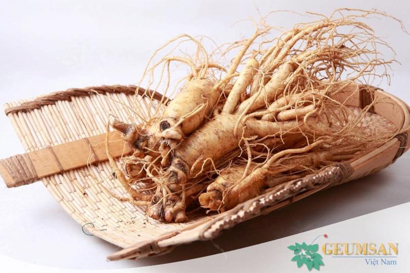 Nhân sâm tươi tại Nhân Sâm Geumsan